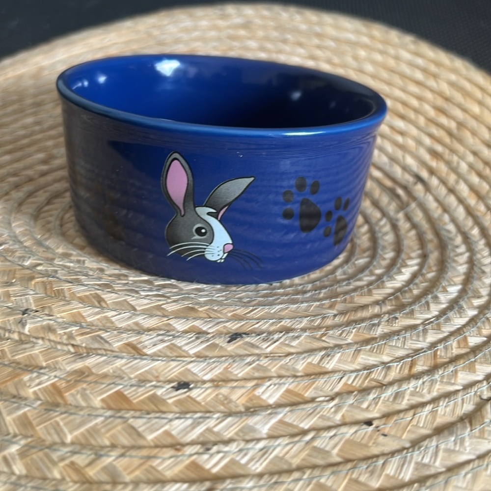 Kaytee Fun Prints Ceramic Pet Snack Dish Bowl